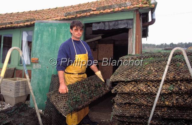 huitre oleron 15.JPG - Ostréiculteur devant sa cabaneMarennes Oléron, France